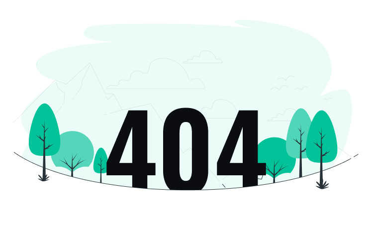 404 Image