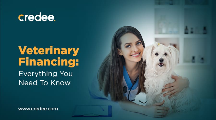 veterinary financing no credit check